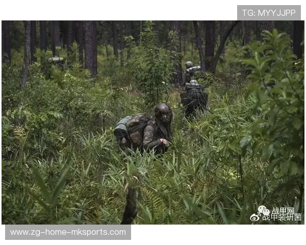 比赛战术分析节目收视率创新高，比赛战术方案