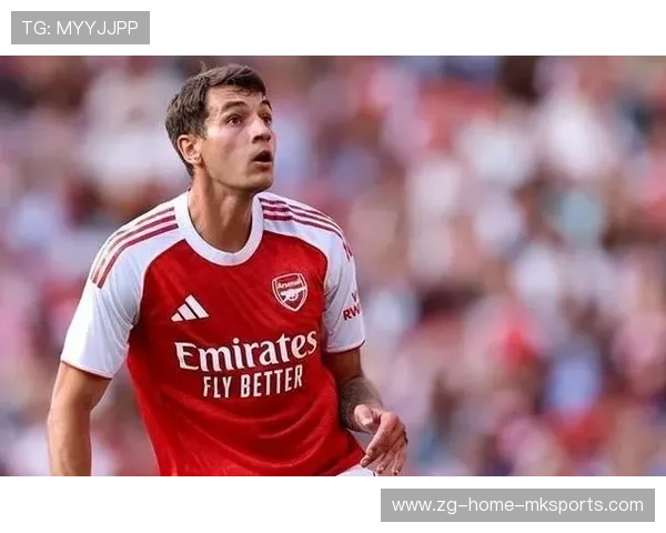 波尔图盯上英超强壮前锋：引发欧洲转会新风潮